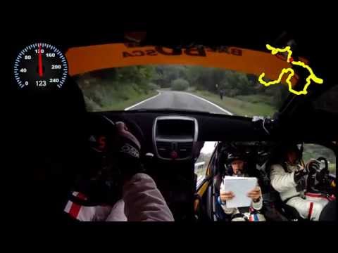 Camera car 41º Rally Team 971 2014 Vincitori Assoluti Cantamessa Bollito Peugeot Super 2000