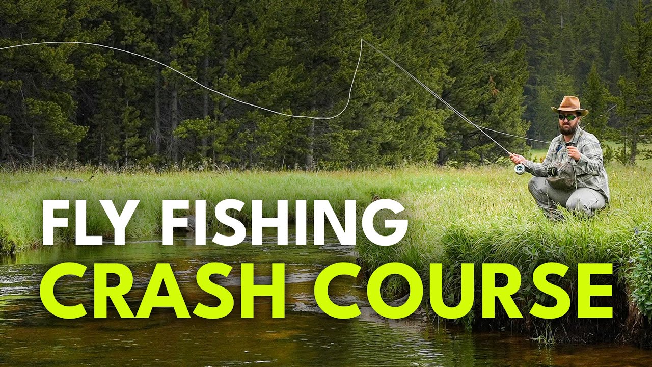 Learn to Fly Fish in One Video