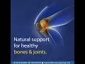 Arthritis Joint Pain
