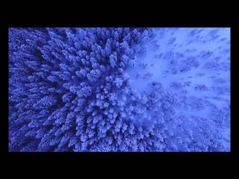 Corul ”VOX ANIMI” Sighișoara - Toaca-n cer (Petre Severin)