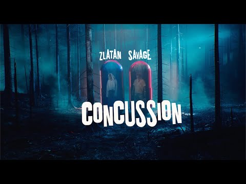 Savage & Zlatan - Concussion (Remix)