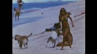 Kinobe- Slip Into Something More Comfortable 2016