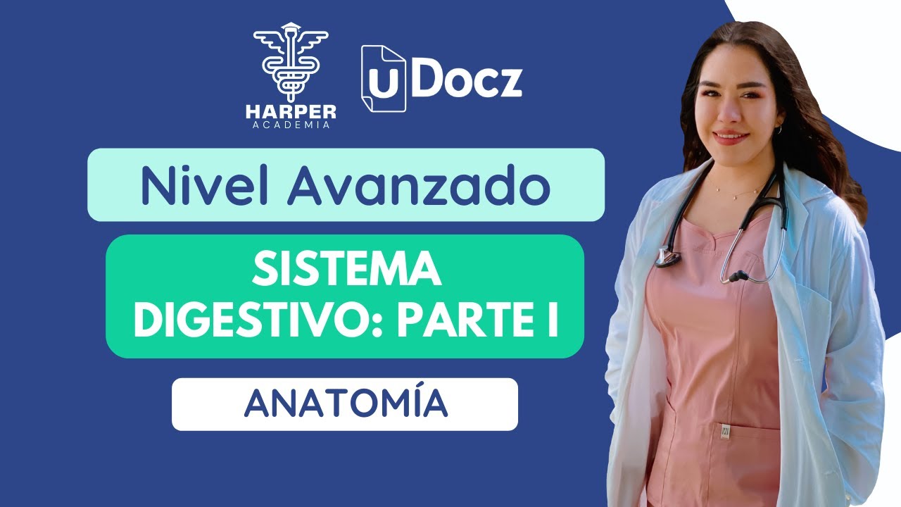 Sistema Digestivo Parte 1 con Harper Academia  & uDocz  📚| Nivel Avanzado