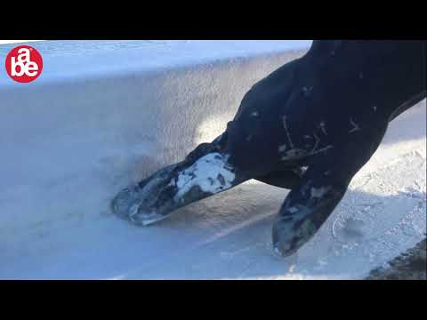 Abe Fibrated Super Laycryl Fibrated & Membrane