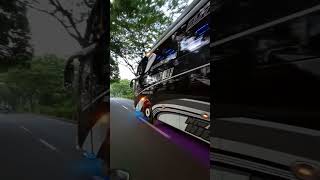 Download lagu story wa bus kupu kupu ayu jaguar terbaru~|~🚌🚌 mp3