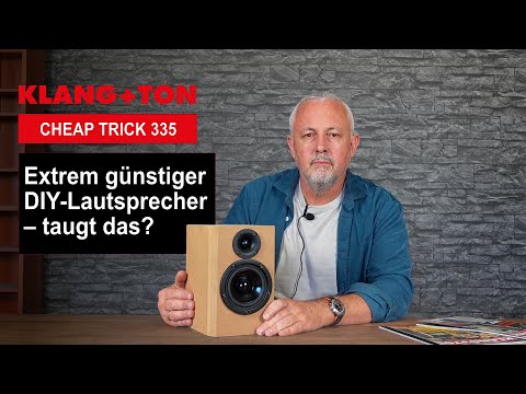 DIY Lautsprecher bauen für wenig Geld | Super günstiger Speaker im Test