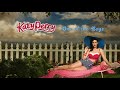 Katy Perry - If You Can Afford Me (Instrumental)