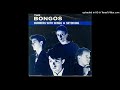 The Bongos - Numbers With Wings (1983)