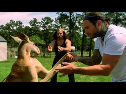 Jeff Hardy Says He Couldn’t Do In-Character Interviews Like His Brother