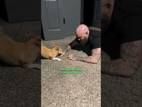 Neighbor Dog Wasn’t Getting Enough Attention — So She Found A New Family | The Dodo