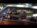 Gramma In Lowrider