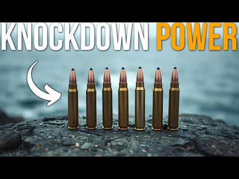 5 Calibers With Brutal Knockdown Power Hunters Trust