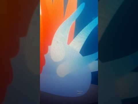 geoffrey's animal alphabet 2 part 2