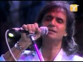 Roberto Carlos, Amada Amante, Festival de Viña del Mar 1989