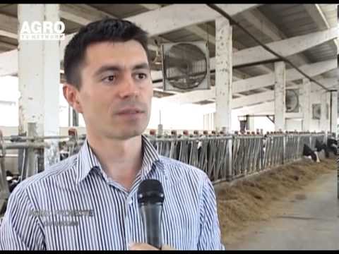 VIDEO REPORT - Pascani Meadow