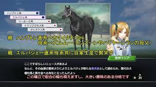 【ゆっくり解説】ウイニングポスト9 2021 ST箱庭作り第7回