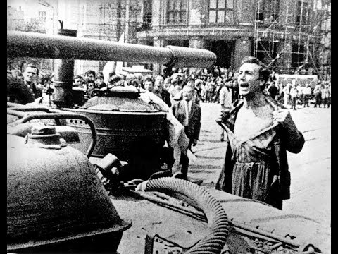 Lebedy - Lebedy - Ptáci (demo)
