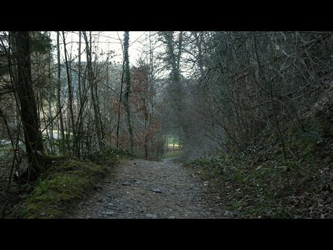 how wind travels - SHORT