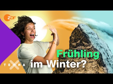 Fast alle Schulbücher falsch?  | Terra X plus