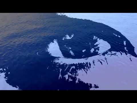 Thomas Daniel Schlee - Wachsende Bläue, op. 76