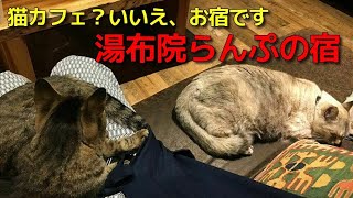 なはあかつきのお宿紹介【湯布院らんぷの宿】
