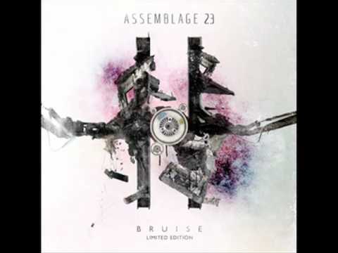 Assemblage 23 - The Other Side of the Wall