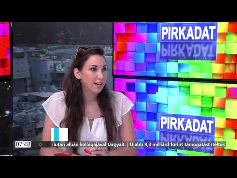 Hűtlen kezelés gyanúja Erzsébetvárosban?