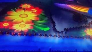 Beautiful Creatures of Rio