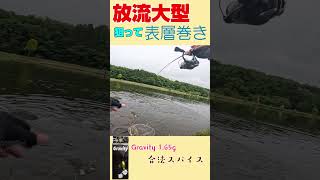 放流直後の大型鱒を表層で狙い撃ち！Gravity 1.65gが炸裂｜つれないつり掘つり天国