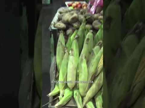 SE VIENE SEMANA SANTA Y EN JUJUY YA SE BUSCA LOS MEJORES CHOCLOS 🌽