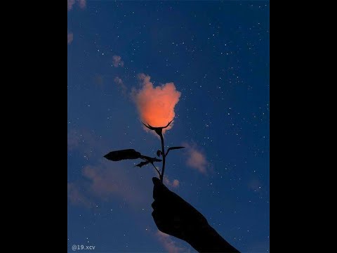 #4 Pelé Milflows x Belle Kaffer - Hoje eu não vou - Edits