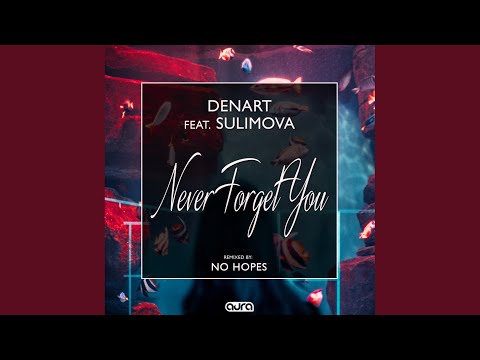 Never Forget You (No Hopes Remix)