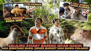 Download lagu KOLEKSI SATWA2 IRFAN HAKIM ! ADA YANG BARU ?! BURUNG SAMPAI RATUSAN EKOR ! mp3 Download lagu KOLEKSI SATWA2 IRFAN HAKIM ! ADA YANG BARU ?! BURUNG SAMPAI RATUSAN EKOR ! mp3