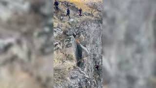 BÜYÜKŞEHİR İTFAİYESİ UÇURUMDA MAHSUR KALAN KEÇİYİ KURTARDI