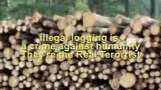 Kemarau - Delly Rollies (IPH Video)