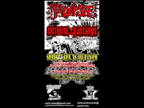 YACØPSÆ/SHITNOISE BASTARDS full split