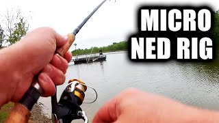 How To Fish a Micro NED RIG for Big Bluegill & Bass (UltraLight)
