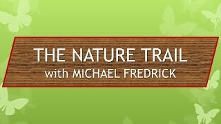 preview picture of video 'The Nature Trail'