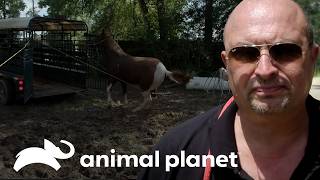 Thumbnail del capítulo