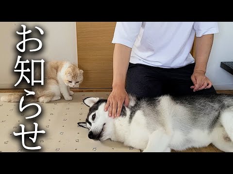 悲しいお知らせです...