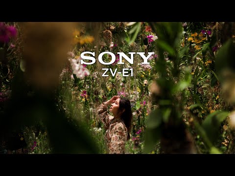 Sony ZV-E1 | 5 Tage in Japan mit Sony Australia (Kinotauglicher Handheld-Film)
