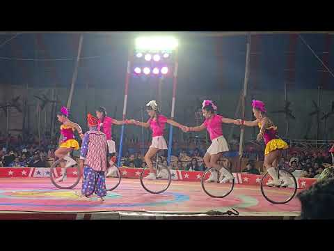 Jumbo circus in KR puram Bangalore 250 to 500 rs Ticket.#trendingshorts #circus #love #viralvideo