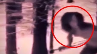 5 Scariest Creatures You Wouldn’t Believe if They Weren’t Recorded!