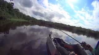 preview picture of video 'Pesca com Caiaque - Kayak Fishing - Robalos na galhada Itapoá SC'
