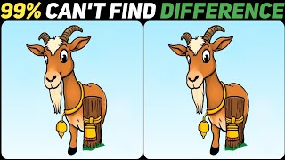 Only True Puzzle Masters Can Spot These 3 Differences!🥸🔥