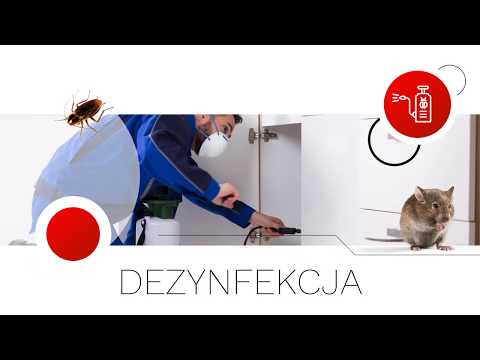 Zobacz filmy filmy
