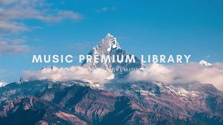 Discolored by ZAYFALL | No Copyright Music