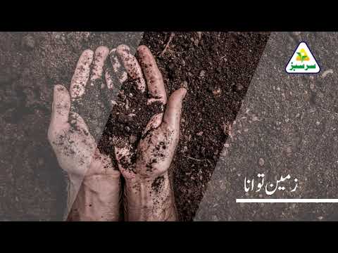 Sarsabz NP Benefit - 5 | Fatima Fertilizer