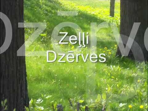 Zeļļi   Dzērves