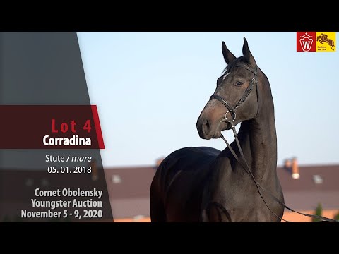 Cornet Obolensky Youngster Auction - Lot 4  Corradina - mare by Cornet Obolensky - Contender